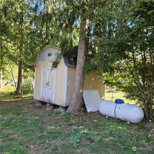 Shed in Back yard