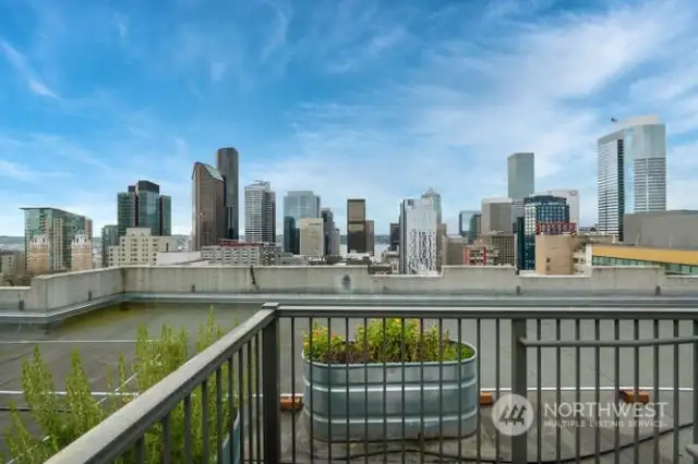 Check out the city view from the rooftop deck!