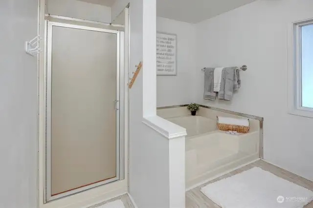 Walk-in shower and easy access steps into tub