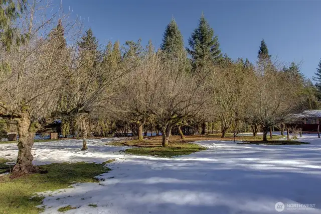 Mature landscaping and fruit trees throughout this gem