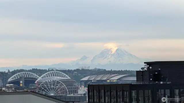 Mt Rainier can be seen from this unit