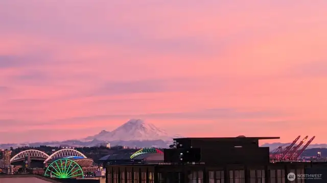 Mt Rainier can be seen from this unit