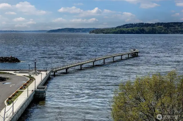 The jetty where many walk and fish from daily just below this condo