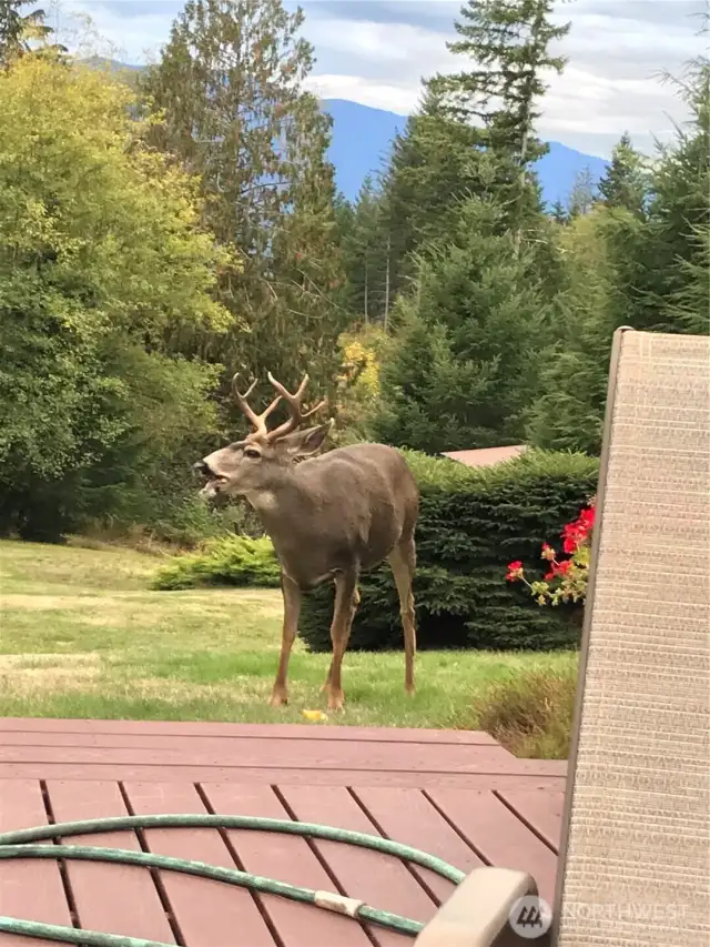 Didn't quite catch all he had to say.
