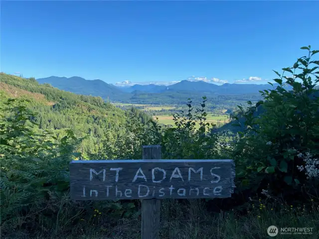 Take a hike up the road, take in the views, and see Mt. Adams.