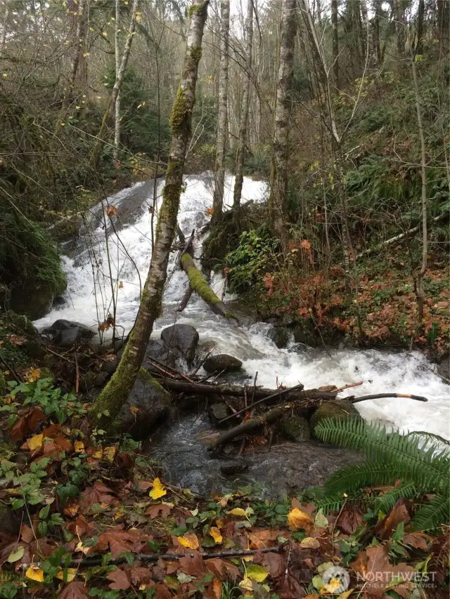 One of the creeks on the property has a waterfall.