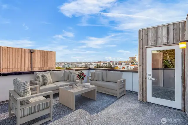 Incredible sunsets over Seattle, Pioneer Square, the Olympic Mountains and Lumen & Safeco Field from your southwest rooftop terrace!! Oh, and Mt. Rainier.