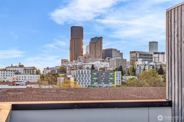 Primary Bedroom with large covered patio, west facing (blackout curtains) views of Sunsets through/over Downtown Seattle, huge walk-in closet (CA Closets) and palatial 5 piece en-suite bathroom