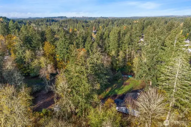 Enjoy peace and serenity in this secluded 3-bedroom, 2-bath home set on picturesque 3 acres of gorgeous land, adorned with lush trees for added privacy. This property radiates Old World charm, providing an exceptional canvas for your vision. The expansive and lush setting holds immense potential, offering endless possibilities for adding a shop or accessory dwelling unit (ADU)....