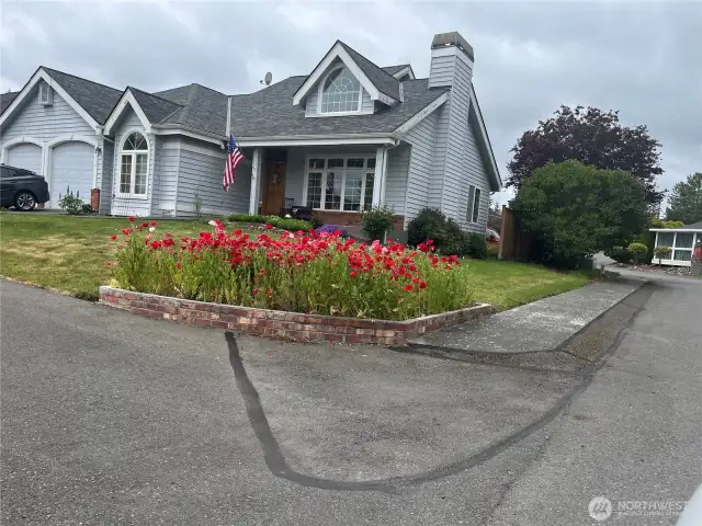Home with beautiful poppies