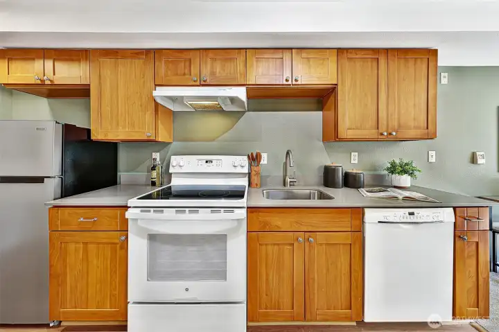 Kitchen Cabinets are real wood, updated in 2014, with fresh counters as well. Fridge is brand new.