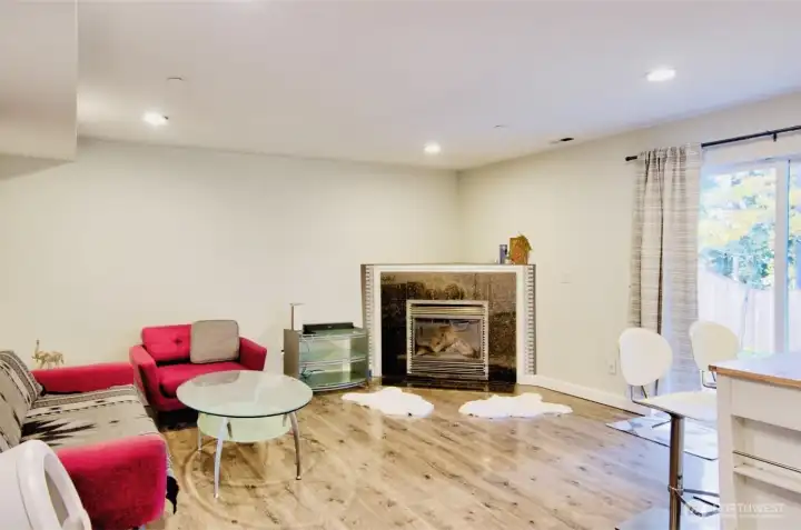 Lower level living room with kitchennet.