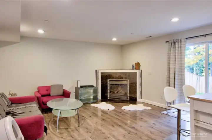 Lower level living room with kitchennet