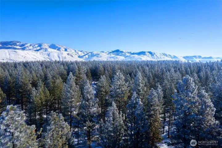 Stunning mountains & treescape surround the Twin Lakes Community near Winthrop. Ski trails nearby for easy access.