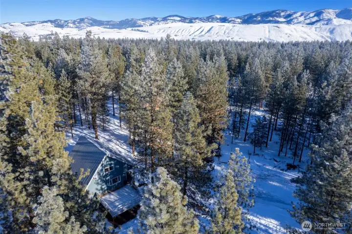 Tucked in to the trees for perfect privacy setting. And oh-so-quiet.