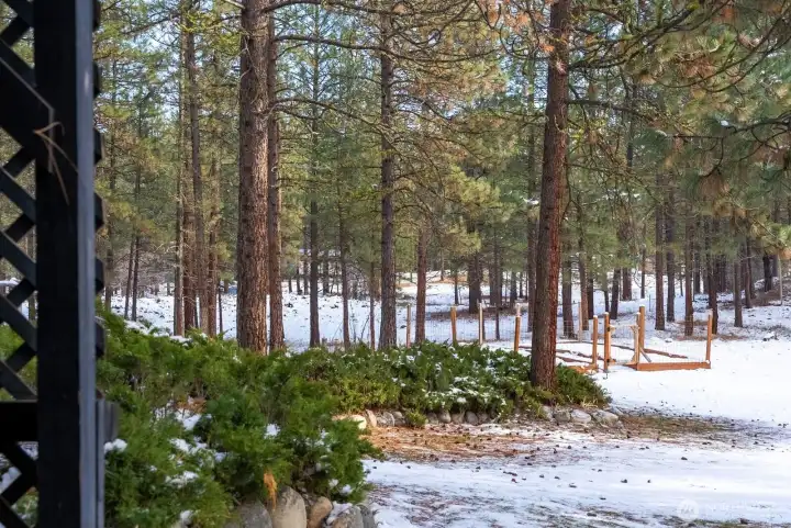 1 Acre lot is mostly level and borders large greenbelt. Tall pines are beautiful and keep you cool in Summer. Fenced Garden area.