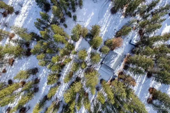 Fly over this 1 acre treed lot bordering large Greenbelt area in Twin Lakes Community. Ski, Sleep, Eat repeat!