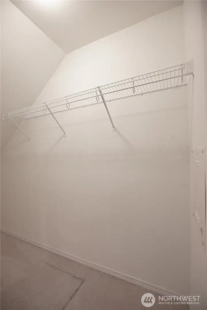 pantry/closet in kitchen/under the stairs