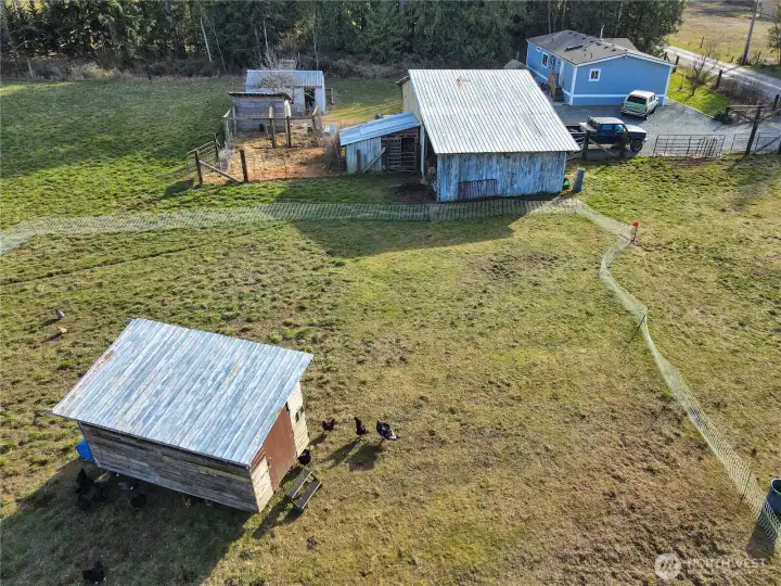 Move in and bring your animals!