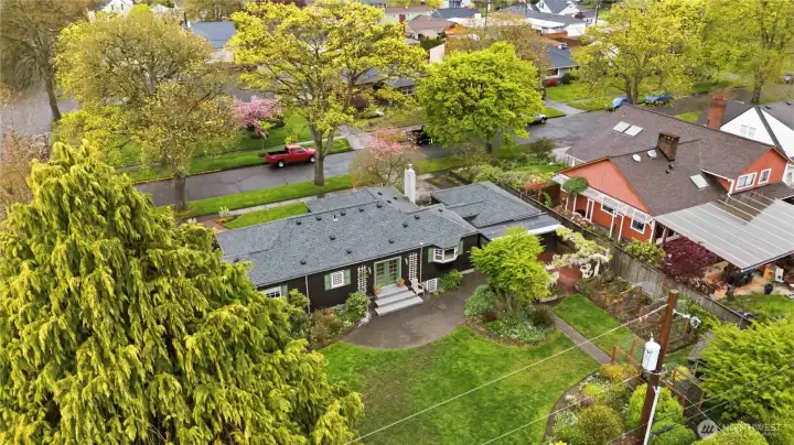 Oversized lot- backyard view