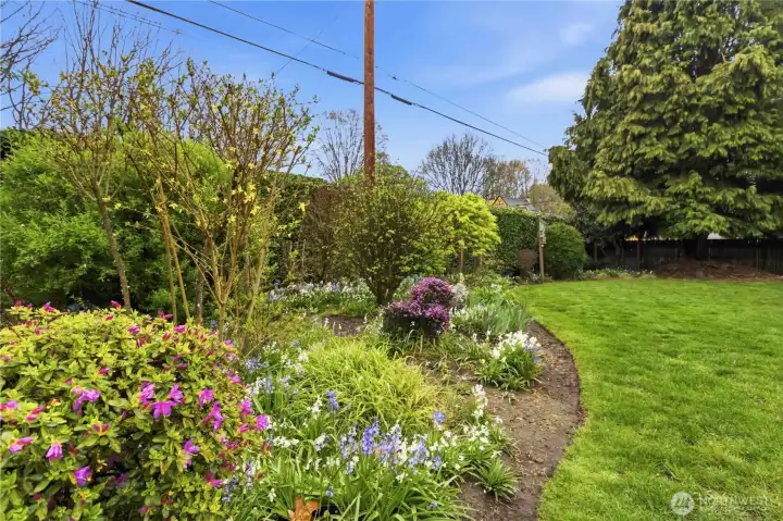 Back yard with mature plantings