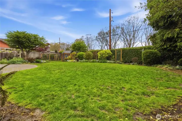 Rare, oversized lot in the Old West Side