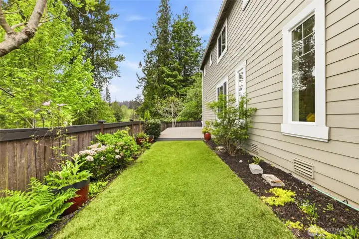Dream Turf side yard