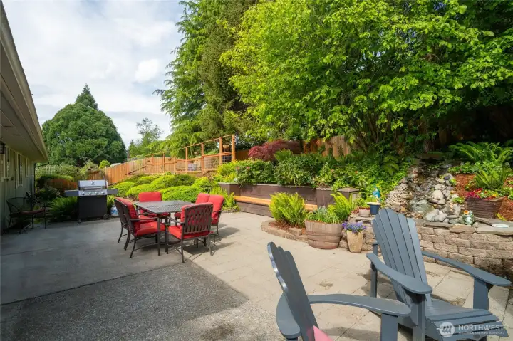 Gorgeous backyard with Filbert tree.
