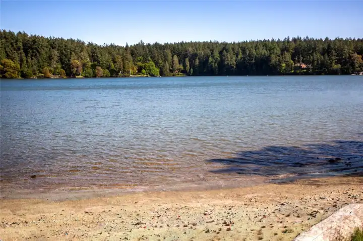 Mitchell Bay with oysterlands