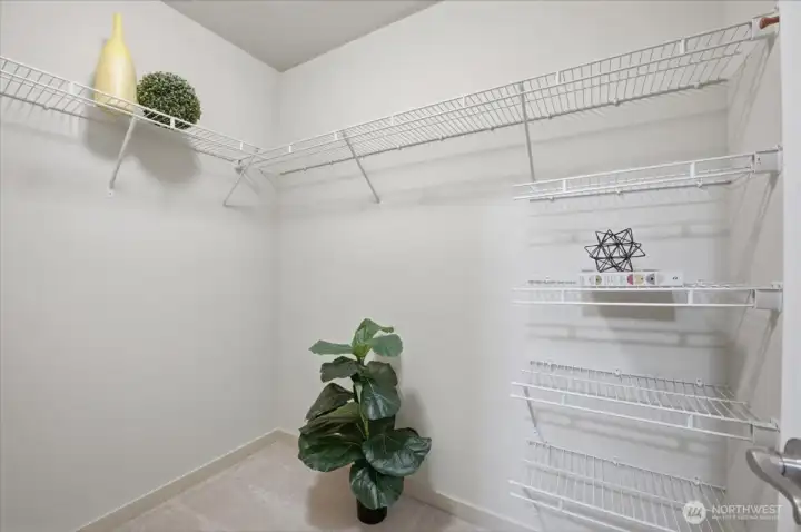 Primary Closet
