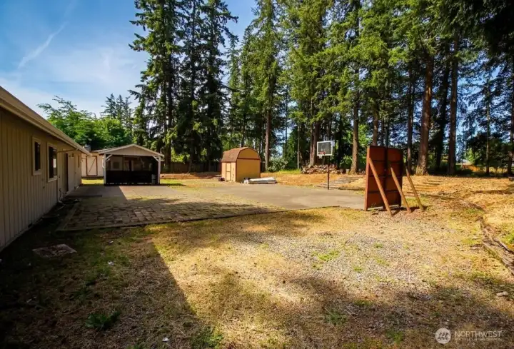 Backyard Backyard