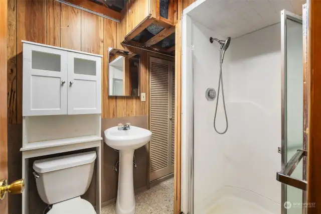 Basement Bathroom