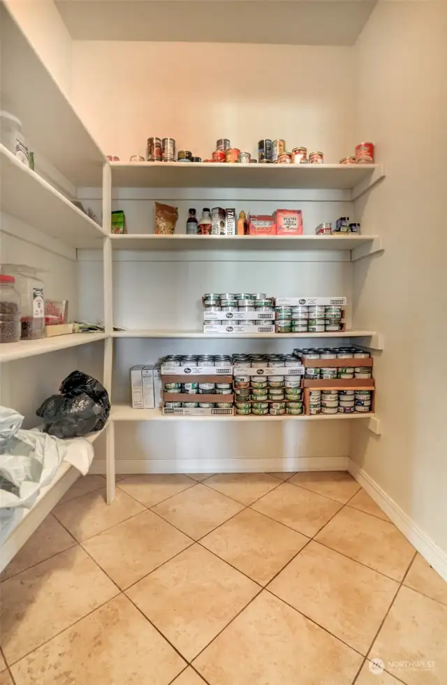 Walk-in pantry with lots of storage!