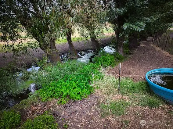 Stream