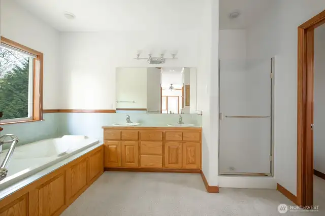 Primary bath w/ double vanity shower and tub