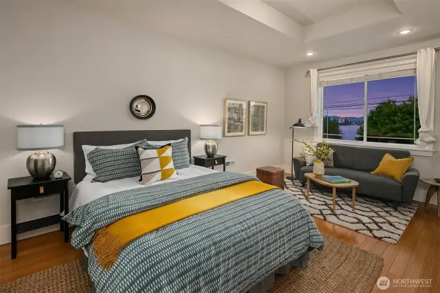 Large lower level bedroom