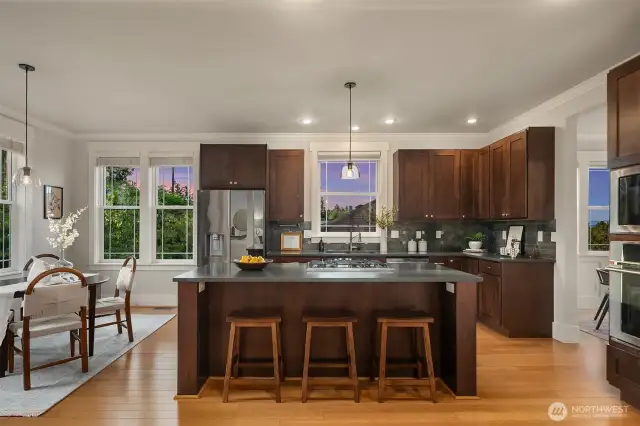 Chef's kitchen with updated appliances