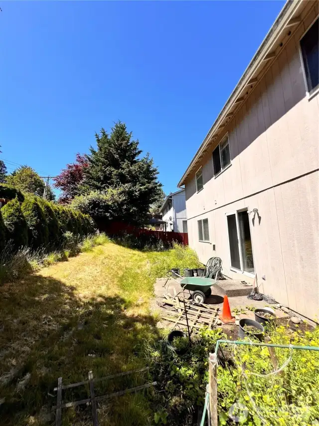 backyard