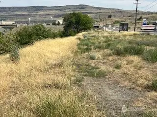 Edge of bank looking East towards Chief Joseph Dam