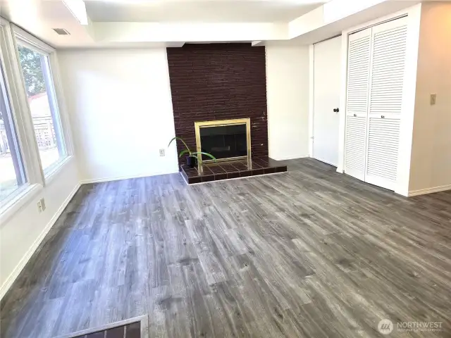 Lower level family room