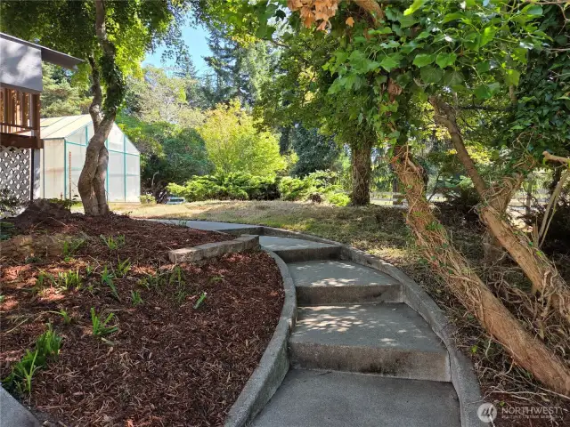 Steps from back yard to green house