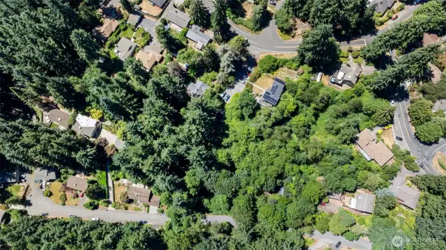 27,000+ square foot buildable lot available in close-in Lake Forest Park.  Property within boundaries to Lake Forest Park Civic Club for Lake and facilities access.  So if building a home and living there, this would apply.  Easy access to Shoreline, Light Rail, Lake Forest Park Town Center, Hamlin Park and Lake Washington.  Buyer to do own due diligence.