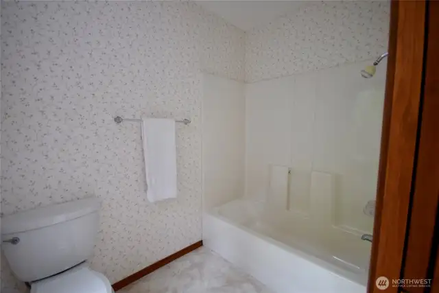 guest bath 1 shower