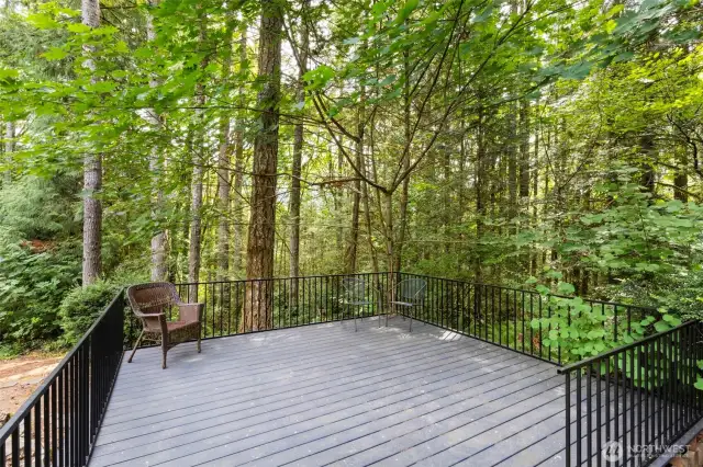 Entertainment deck