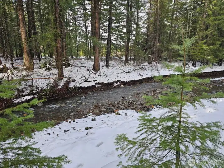 Beautiful Silver Creek babbling along through this lovely property.