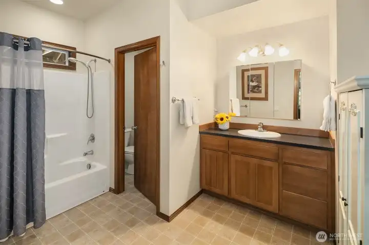 This is the main floor bathroom with toilet closet also attached to primary bedroom