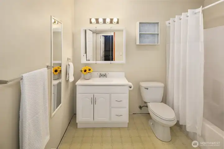 Lower level full bath