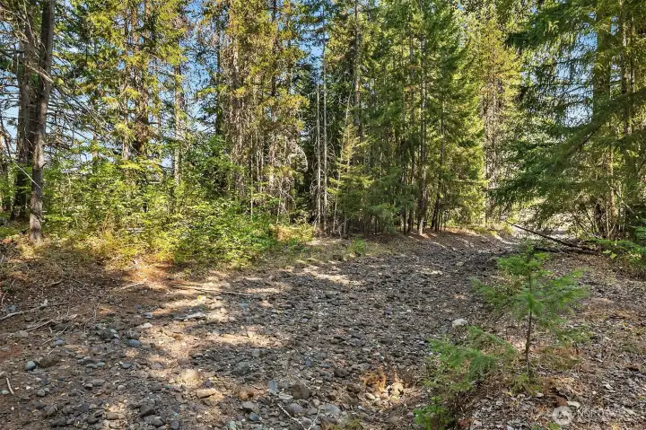 Another view of where Silver Creek runs through edge of this property....