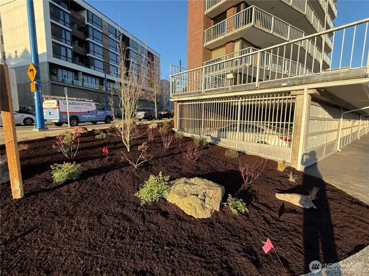 Landscaping just completed