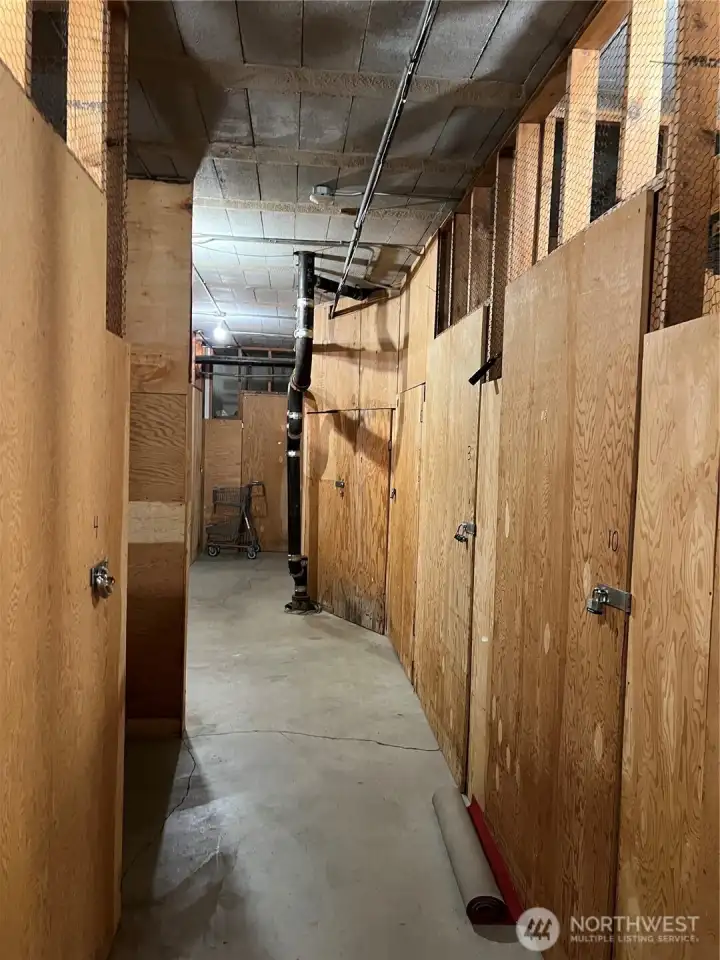 Storage area in basement